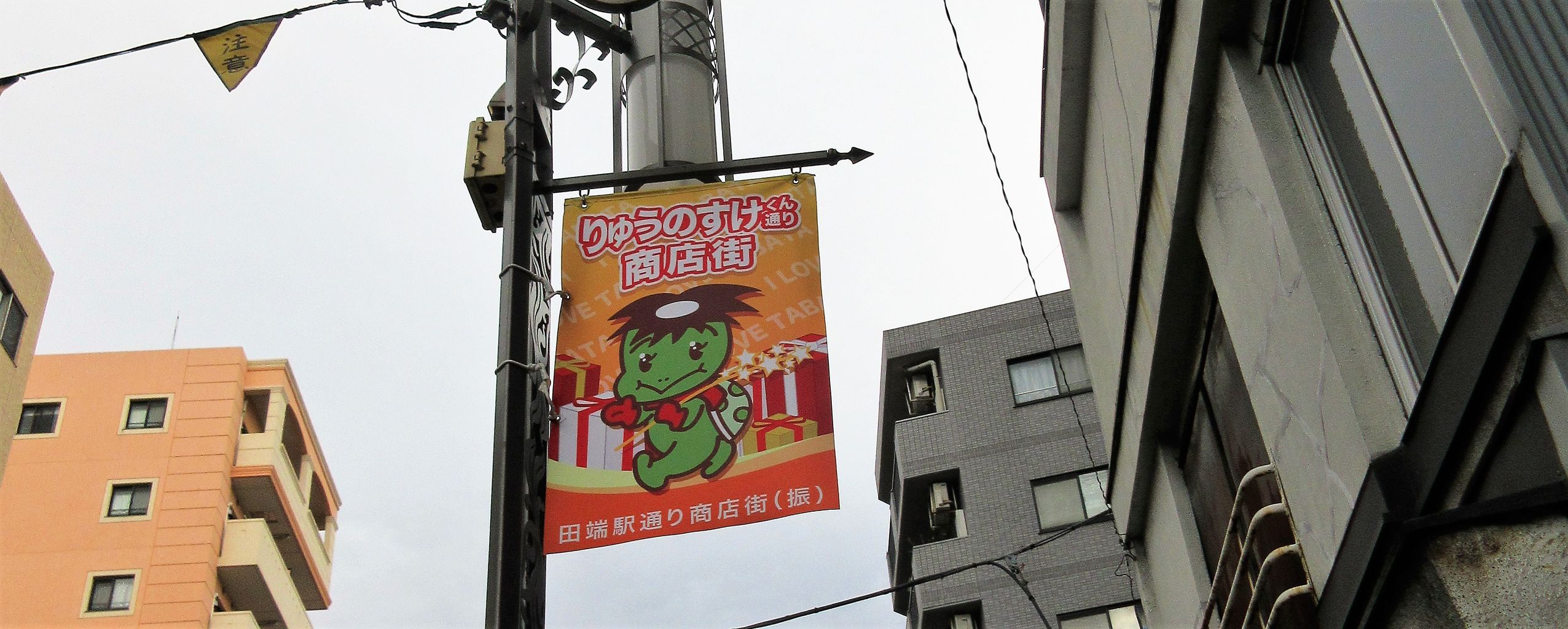 イメージ 3