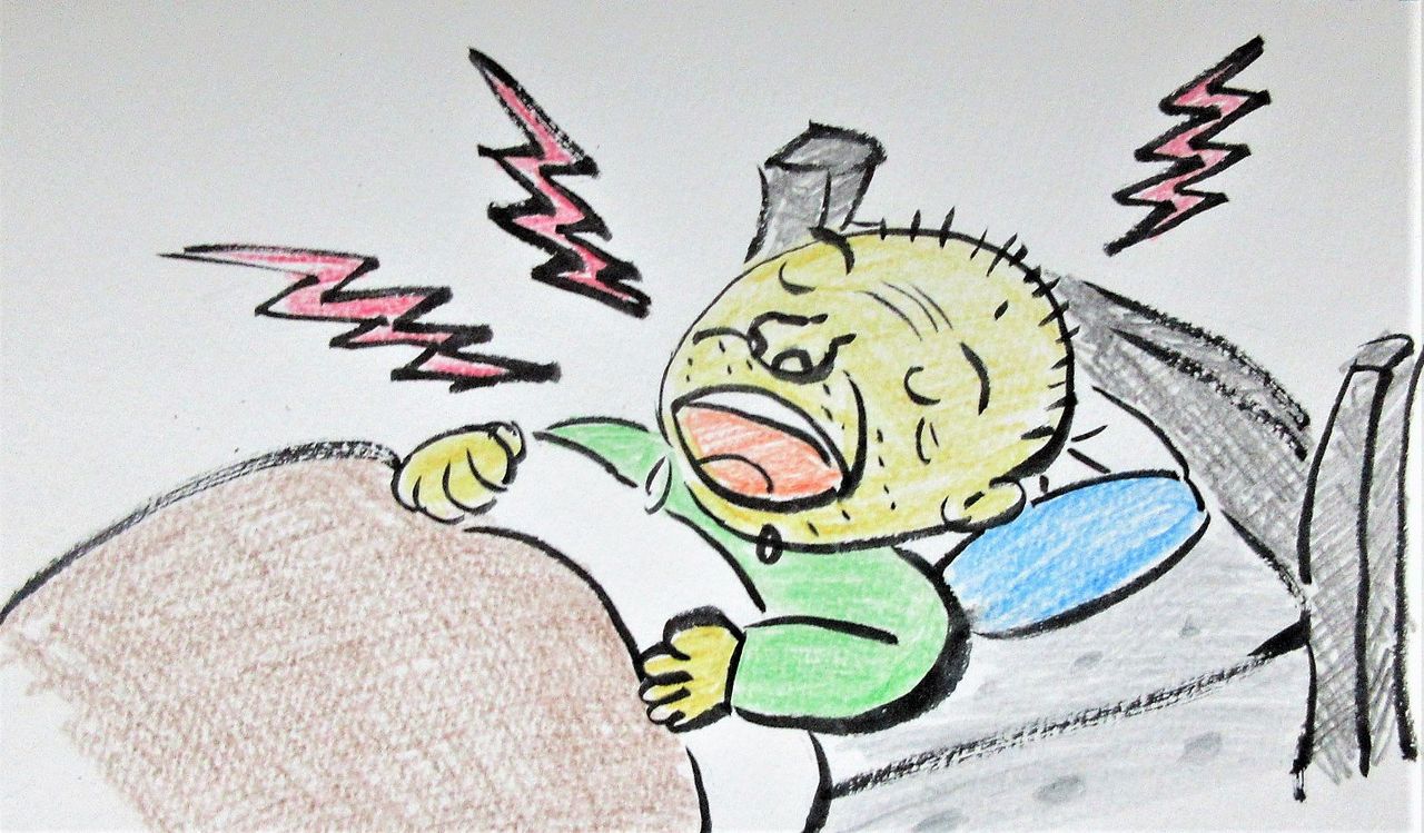 イメージ 1