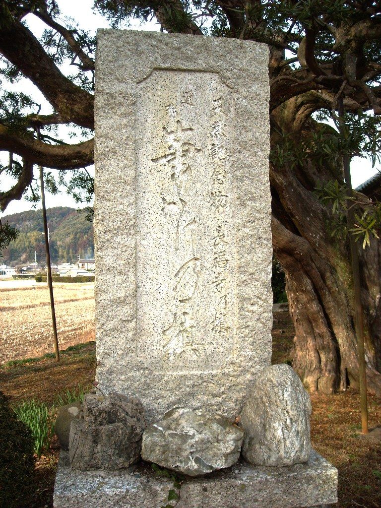 イメージ 3