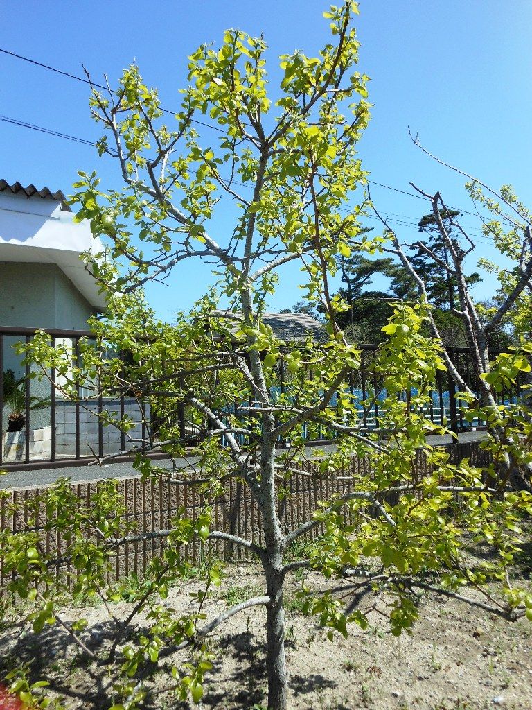 イメージ 1