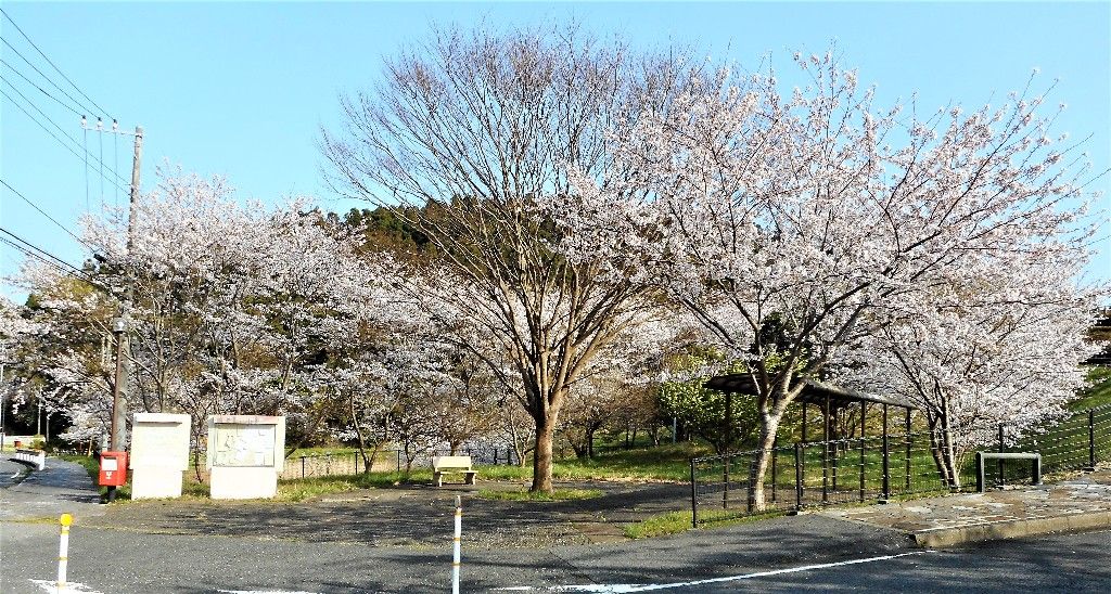 イメージ 3