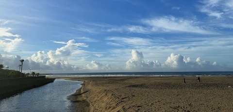 IMG_1533