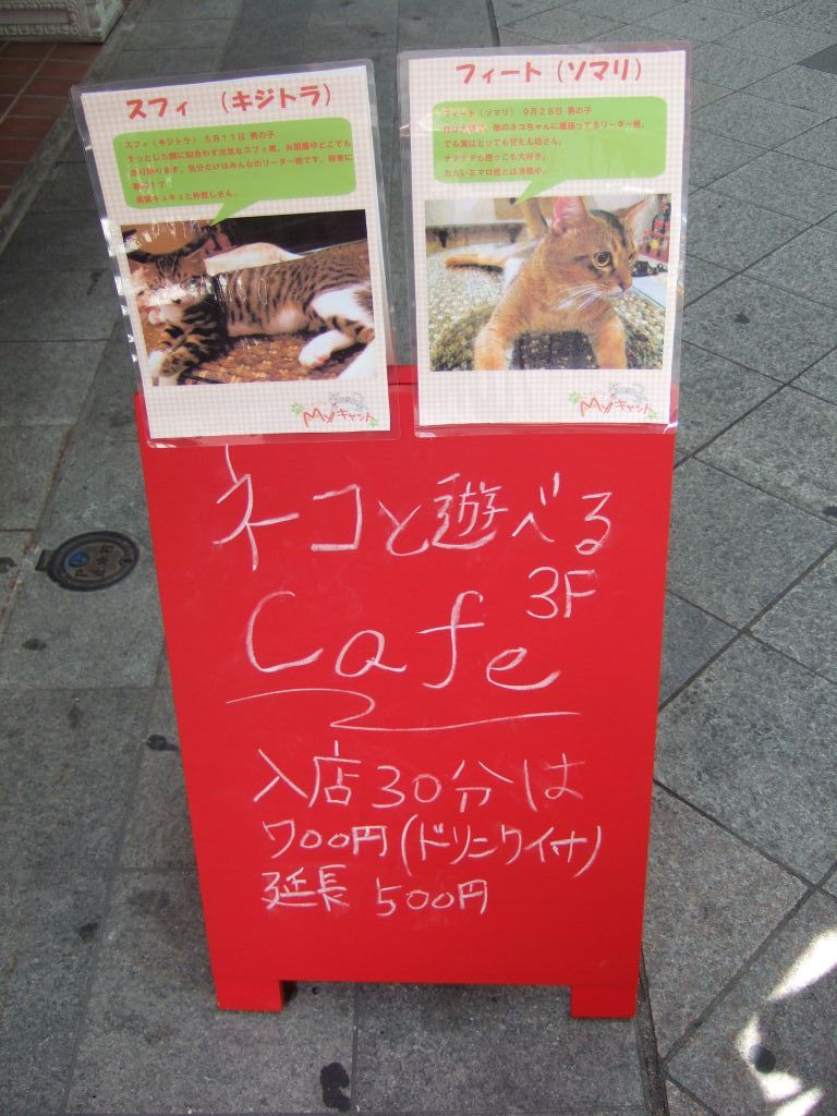 名古屋 大須電波ニュース 大須blog 大須に ねこカフェmyキャット 登場 Livedoor Blog ブログ 名古屋 大須電波ニュース 大須blog 大須に ねこカフェmyキャット 登場 Livedoor Blog ブログ