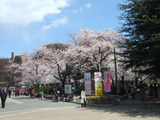 鶴舞公園20120406