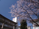 三輪神社20140323