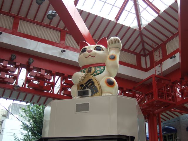 大須招き猫特集(看板やパワースポット) : 名古屋・大須電波