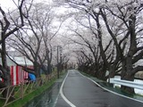 清洲城公園