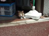 ���Ĥ��󣲣�����������������