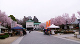 徳川園20130327