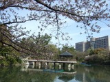 鶴舞公園竜ヶ池