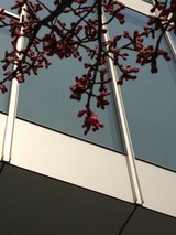 �����2013/03/07