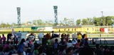 出場ご当地キャラ