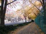 若宮