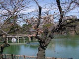 20110323_nagoyaTsurumaPark