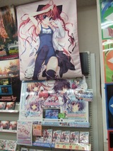 サンプル展示