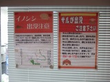 さる