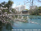 鶴舞公園・竜ヶ池09/03/23