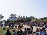 演武人気
