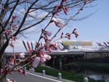 20110326清須