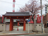 Âç¸÷±¡¤µ¤¯¤é20130326