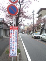 �ޥ饽����̵���