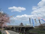 清洲城2010/04/14