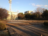 カラス