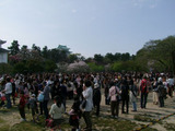 握手会