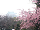 東門前