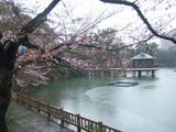 竜ヶ池2010/03/24