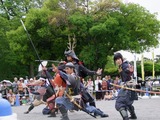 葵武将隊