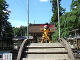 とらにゃん・多賀大社石橋にて