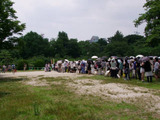 握手行列