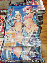 秋葉原電気外祭り2011夏