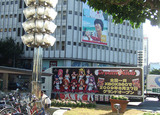 �ɥ꡼�९�����������