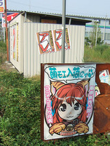 虎耳