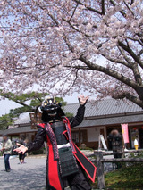 謎の甲冑武者