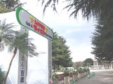ライオン
