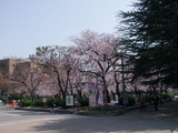 鶴舞公園