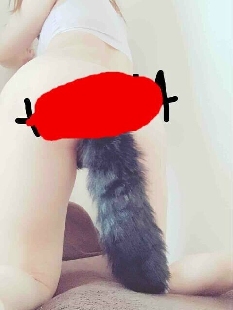 f4bfceb3