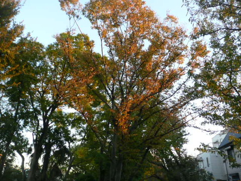 P1090615