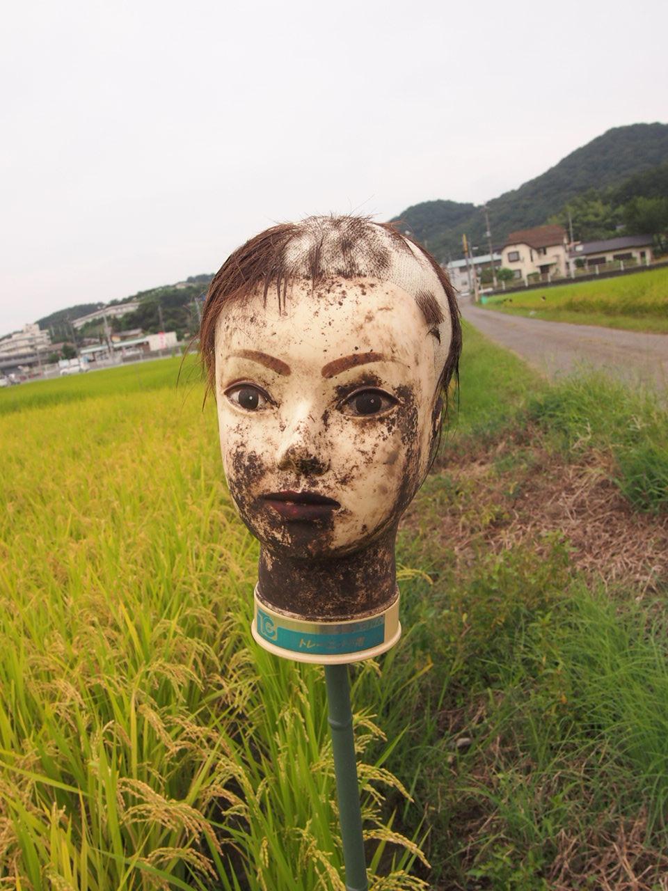 恐怖 田んぼ生首かかし 群馬県太田市祭り情報ブログ
