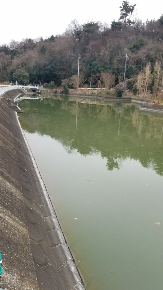 太田市 ブラックバス釣り 群馬県太田市祭り情報ブログ 太田市 ブラックバス釣り 群馬県太田市祭り情報ブログ