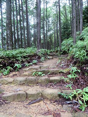 kumano2