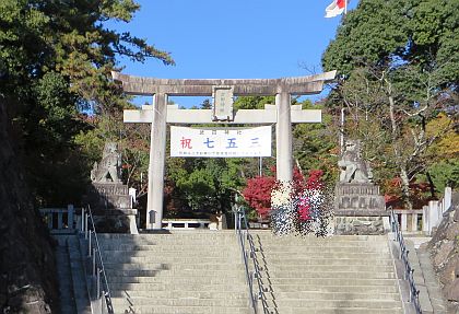 takeda1