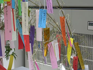 tanabata