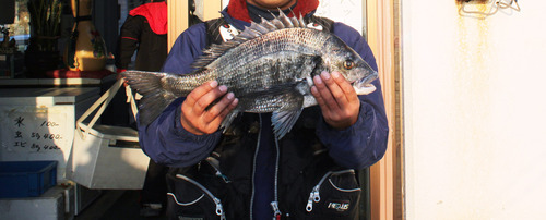釣り