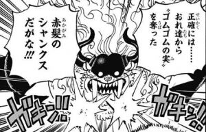 ゴムゴムの実