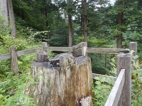 P8192460