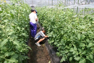 blogIMG_4679